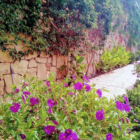 Las Cumbres 公寓 *